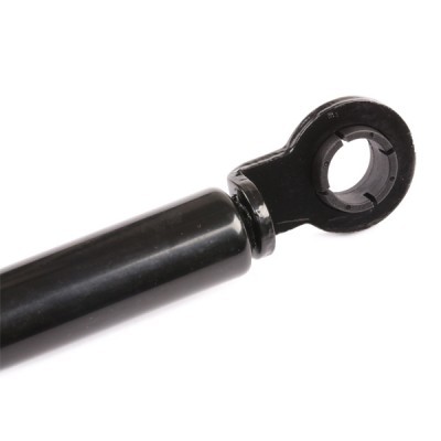 Gasfeder, Koffer-/Laderaum RIDEX 219G0442 219G0442 - foto 5