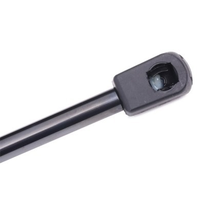 Gasfeder, Koffer-/Laderaum RIDEX 219G0289 219G0289 - foto 5