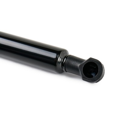 Gasfeder, Koffer-/Laderaum RIDEX 219G1106 219G1106 - foto 5