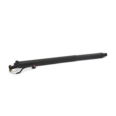 Gasfeder, Koffer-/Laderaum RIDEX 219G1706 219G1706 - foto 2