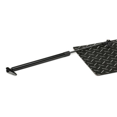 Gasfeder, Koffer-/Laderaum RIDEX 219G0703 219G0703 - foto 2