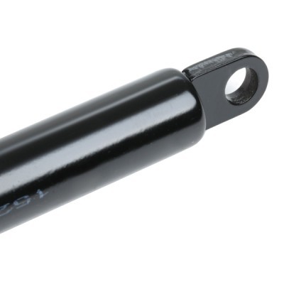 Gasfeder, Koffer-/Laderaum RIDEX 219G0380 219G0380 - foto 6