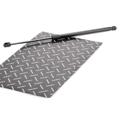 Gasfeder, Koffer-/Laderaum RIDEX 219G0955 219G0955 - foto 2