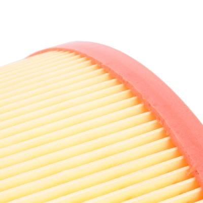 Luftfilter RIDEX 8A0614 8A0614 - foto 5