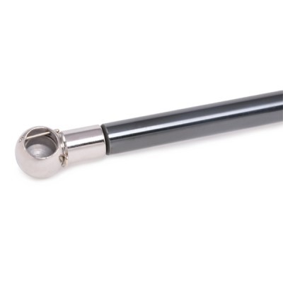 Gasfeder, Koffer-/Laderaum RIDEX 219G0325 219G0325 - foto 4