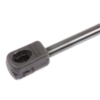 Gasfeder, Koffer-/Laderaum RIDEX 219G0109 219G0109 - foto 5