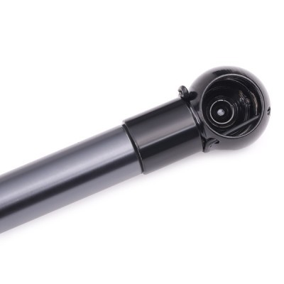 Gasfeder, Koffer-/Laderaum RIDEX 219G0045 219G0045 - foto 5