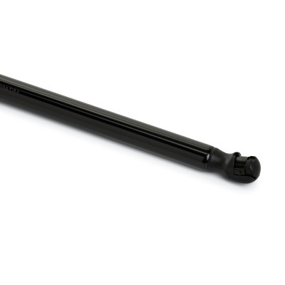 Gasfeder, Koffer-/Laderaum RIDEX 219G1152 219G1152 - foto 5
