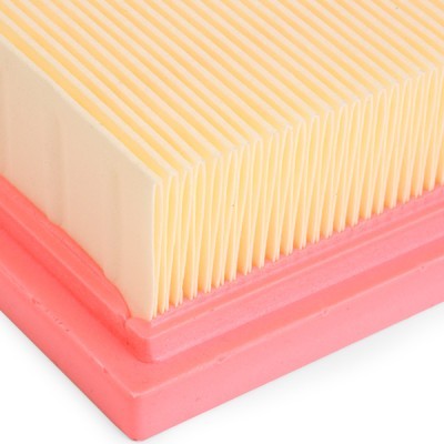 Luftfilter RIDEX 8A0689 8A0689 - foto 5