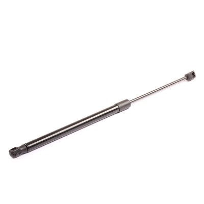 Gasfeder, Koffer-/Laderaum RIDEX 219G0056 219G0056 - foto 6