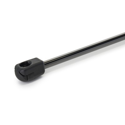Gasfeder, Koffer-/Laderaum RIDEX 219G1243 219G1243 - foto 4