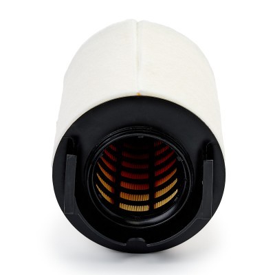 Luftfilter RIDEX 8A0296P 8A0296P - foto 5