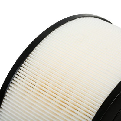 Luftfilter RIDEX 8A0589 8A0589 - foto 5