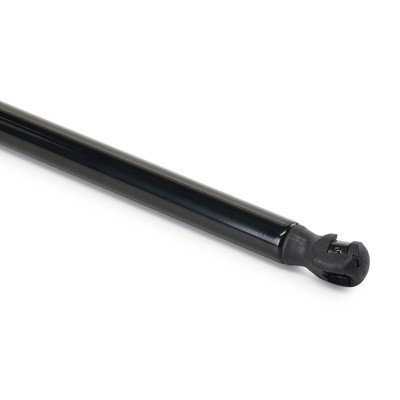 Gasfeder, Koffer-/Laderaum RIDEX 219G1447 219G1447 - foto 5