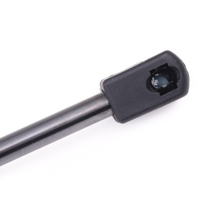 Gasfeder, Koffer-/Laderaum RIDEX 219G0544 219G0544 - foto 5