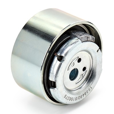 Zahnriemenspanner RIDEX 308T0096 308T0096 - foto 7