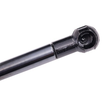 Gasfeder, Koffer-/Laderaum RIDEX 219G0059 219G0059 - foto 5