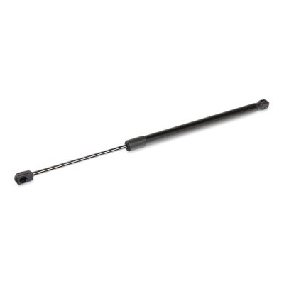 Gasfeder, Koffer-/Laderaum RIDEX 219G1089 219G1089 - foto 3