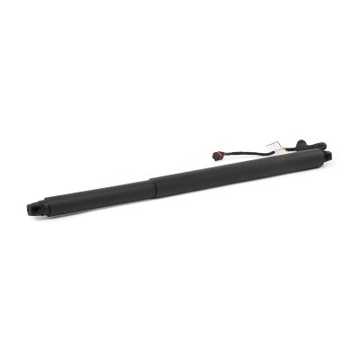 Gasfeder, Koffer-/Laderaum RIDEX 219G1707 219G1707 - foto 3