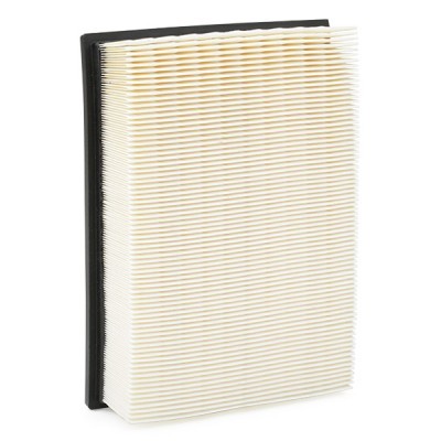 Luftfilter RIDEX 8A0078 8A0078 - foto 7