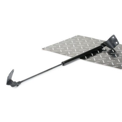Gasfeder, Koffer-/Laderaum RIDEX 219G0373 219G0373 - foto 2