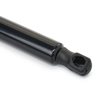 Gasfeder, Koffer-/Laderaum RIDEX 219G1891 219G1891 - foto 5