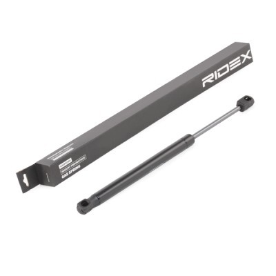 Gasfeder, Koffer-/Laderaum RIDEX 219G0895 219G0895 - foto 2