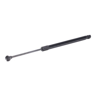 Gasfeder, Koffer-/Laderaum RIDEX 219G0925 219G0925 - foto 8