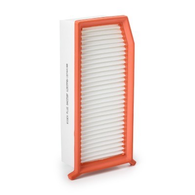 Luftfilter RIDEX 8A0258P 8A0258P - foto 10