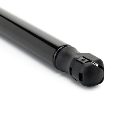 Gasfeder, Koffer-/Laderaum RIDEX 219G1309 219G1309 - foto 5