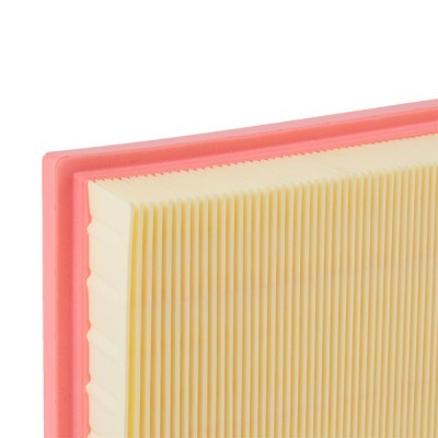 Luftfilter RIDEX 8A0012 8A0012 - foto 5