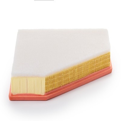 Luftfilter RIDEX 8A0032P 8A0032P - foto 5