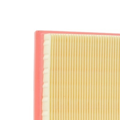 Luftfilter RIDEX 8A0305 8A0305 - foto 4
