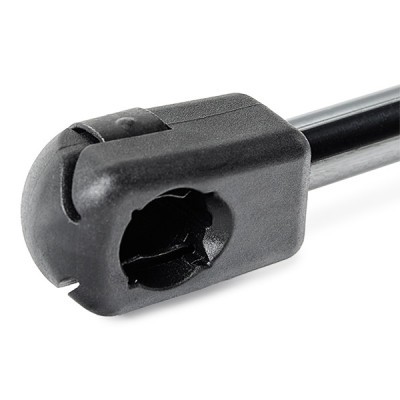 Gasfeder, Koffer-/Laderaum RIDEX 219G1004 219G1004 - foto 6