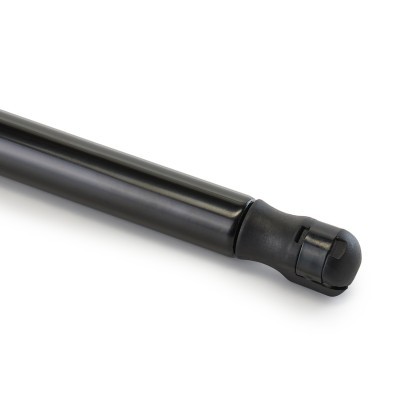 Gasfeder, Koffer-/Laderaum RIDEX 219G1243 219G1243 - foto 5
