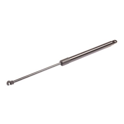 Gasfeder, Koffer-/Laderaum RIDEX 219G0238 219G0238 - foto 3