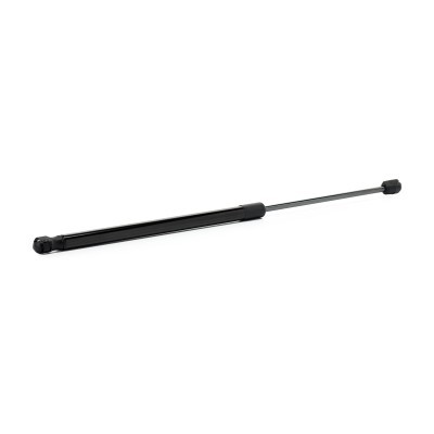 Gasfeder, Koffer-/Laderaum RIDEX 219G1309 219G1309 - foto 3