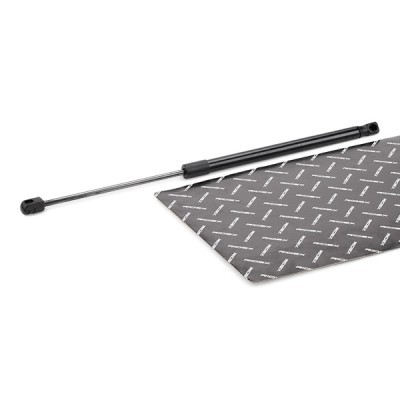 Gasfeder, Koffer-/Laderaum RIDEX 219G1017 219G1017 - foto 2