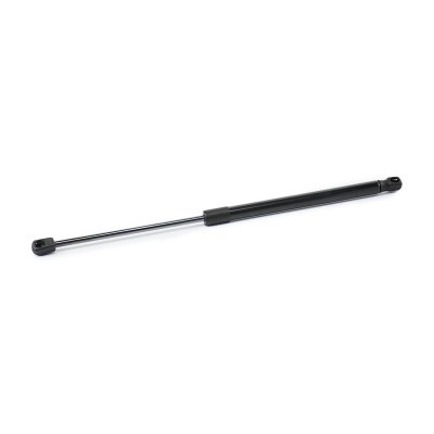 Gasfeder, Koffer-/Laderaum RIDEX 219G1172 219G1172 - foto 2