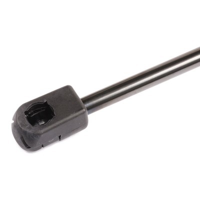 Gasfeder, Koffer-/Laderaum RIDEX 219G0268 219G0268 - foto 4
