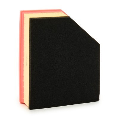Luftfilter RIDEX 8A0693 8A0693 - foto 3
