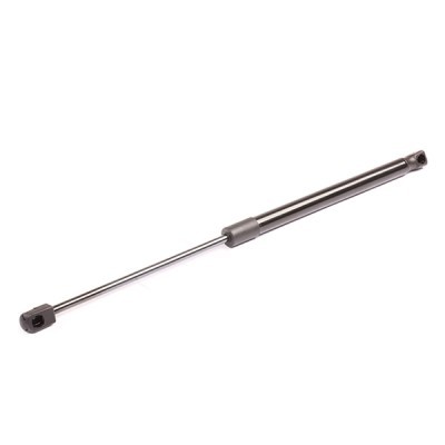 Gasfeder, Koffer-/Laderaum RIDEX 219G0040 219G0040 - foto 3