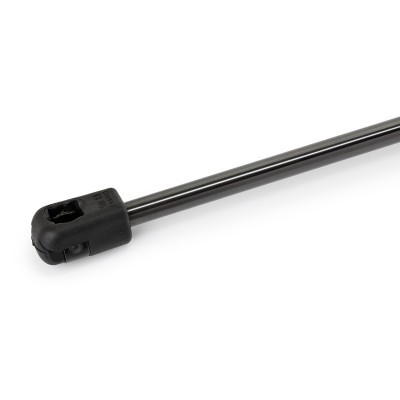Gasfeder, Koffer-/Laderaum RIDEX 219G1263 219G1263 - foto 4
