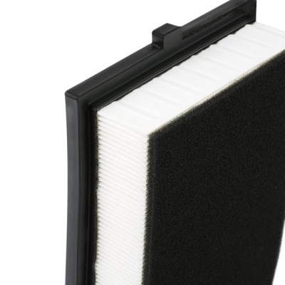 Luftfilter RIDEX 8A0639 8A0639 - foto 5