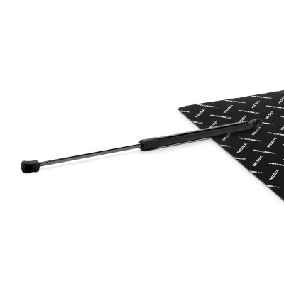 Gasfeder, Koffer-/Laderaum RIDEX 219G1381 219G1381 - foto 1