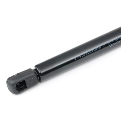 Gasfeder, Koffer-/Laderaum RIDEX 219G0302 219G0302 - foto 5