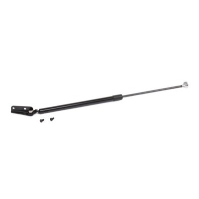 Gasfeder, Koffer-/Laderaum RIDEX 219G0506 219G0506 - foto 4