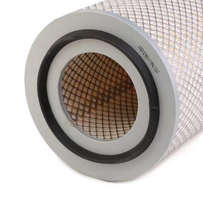 Luftfilter RIDEX 8A0601 8A0601 - foto 5