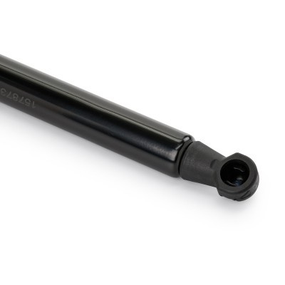 Gasfeder, Koffer-/Laderaum RIDEX 219G0204 219G0204 - foto 8