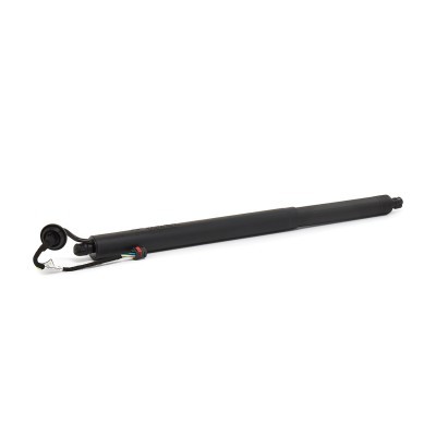 Gasfeder, Koffer-/Laderaum RIDEX 219G1727 219G1727 - foto 2